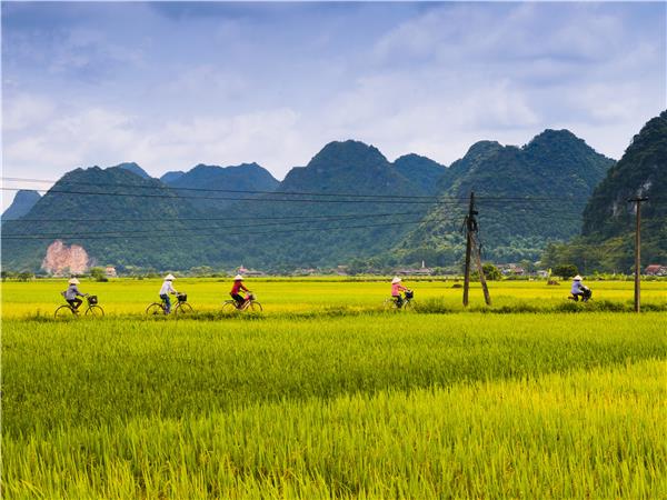 Vietnam small group cycling holiday