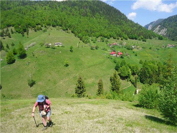 Carpathian Mountains holiday, conservation & culture