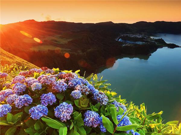 Island hopping in the Azores, small group