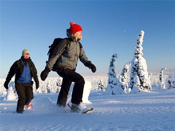 Finland winter activity holiday & Northern Lights