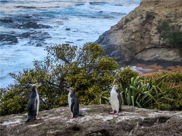 New Zealand holiday, small group