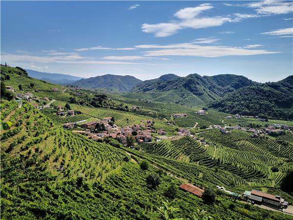 Prosecco Hills walking holiday, Italy