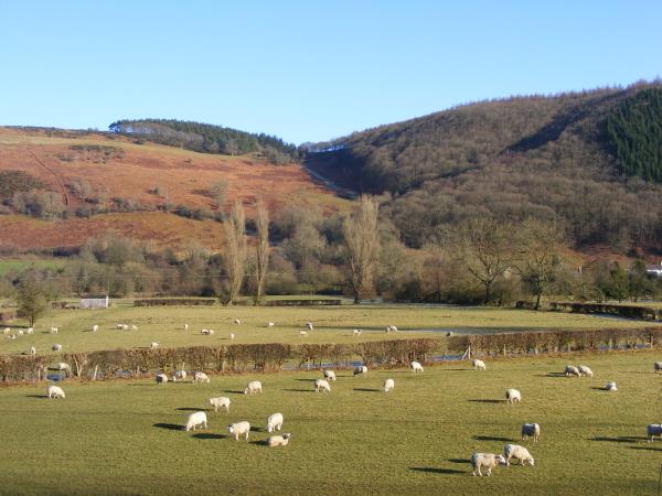 Wales self guided walking holiday options