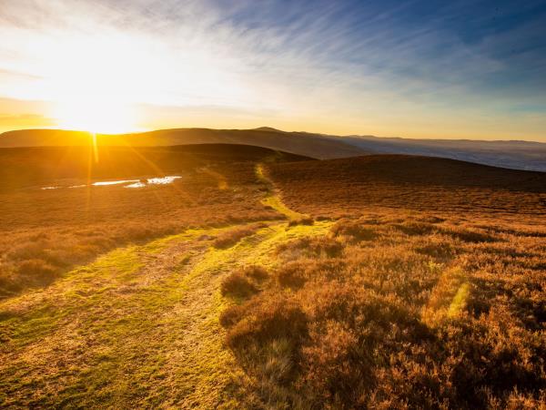 Mindful walking holiday in Wales