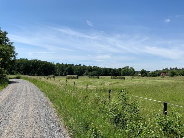 Stockholm Archipelago walking tour in Sweden