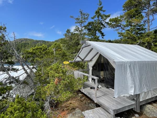 Johnstone Strait kayaking tour in Canada