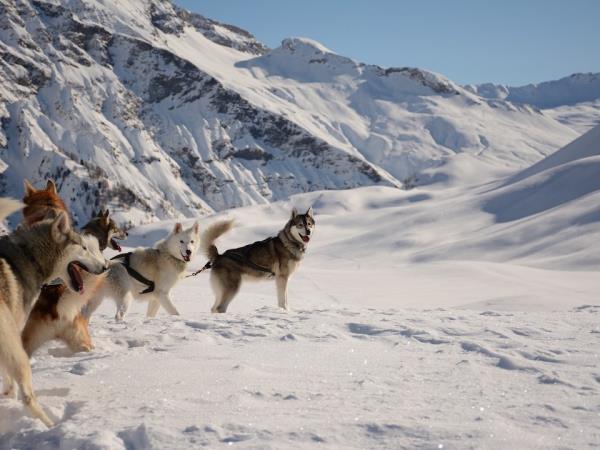 Winter activity holiday in the French Alps