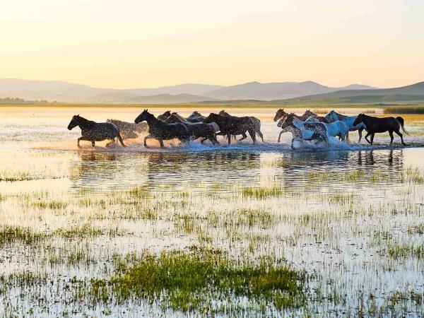 Mongolia nomad horse riding holiday