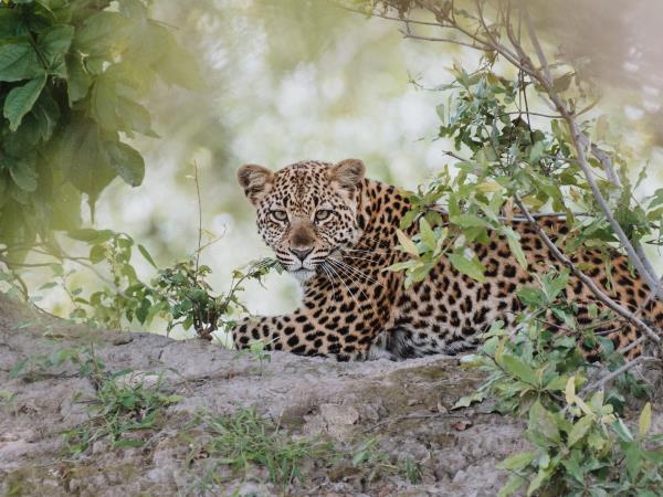 Victoria Falls photography holiday, Zimbabwe