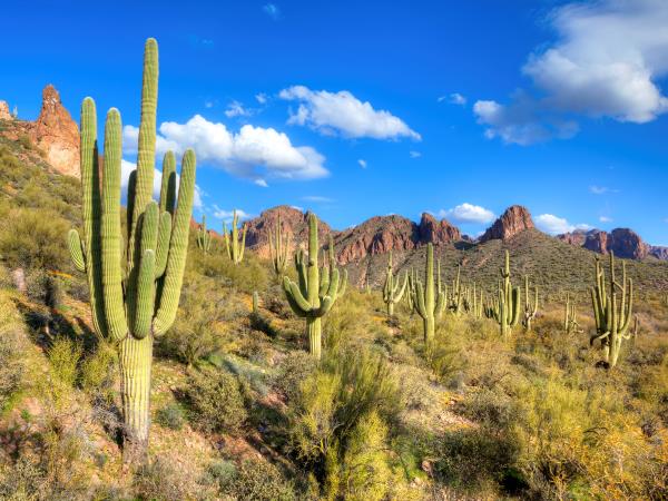 Arizona and New Mexico self drive holiday