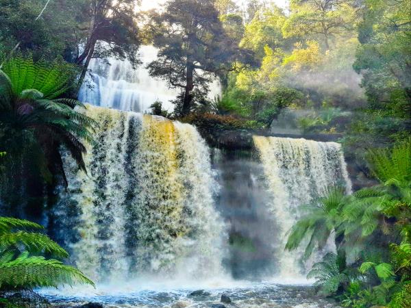 Western Tasmania wilderness tour